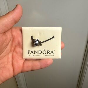 VINTAGE Pandora Monochrome Charm with Silver Accents